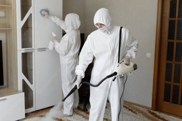 Trusted Sewage Cleanup service in Springfield, NJ - Four Month Blood Cleanse